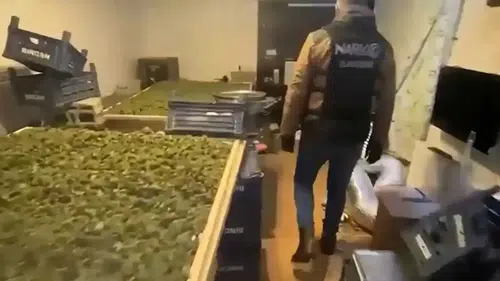 Antalya Dahil 65 İlde Narko Temizlik!