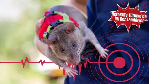 Kahraman Fareler Antalya’da Afetlere Hazırlanıyor!