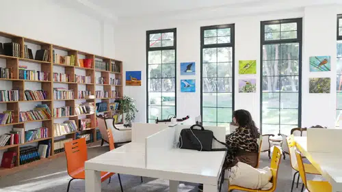 Konyaaltı’nda Nerde Ders Çalışılır?