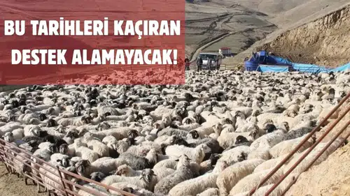 Antalya’daki Üreticiler İçin Önemli Duyuru: Destekler Askıya Çıktı!