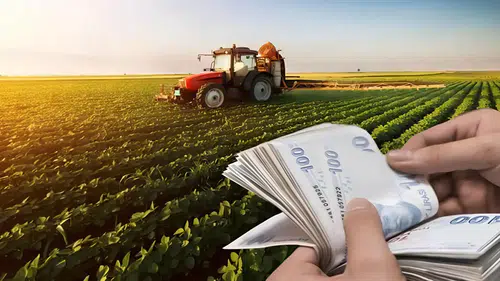 1,6 Milyar TL'lik Tarımsal Destek Ödemesi Bugün Hesaplara Aktarılıyor