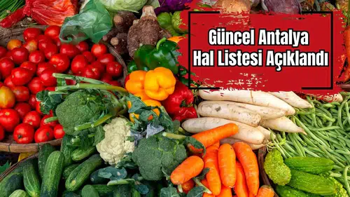 Antalya Halinde Sebze ve Meyve Fiyatları Güncellendi