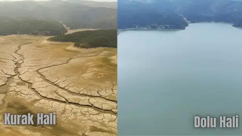 Yapay Zeka Avlan Gölünü Eski Haline Çevirdi