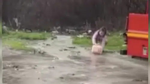 Bodrum’da sağanak sonrası şaşırtan görüntü! Asfalta balık yağdı!