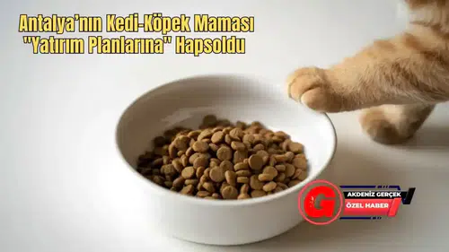 ANET’te Hammadde Bolluğu, Antalya’da Kedi-Köpek Maması Yokluğu