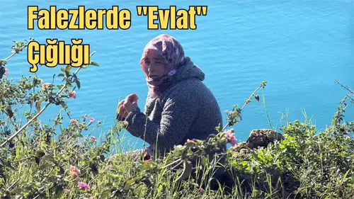 Antalya’da Bir Annenin Çaresizliği: "Çocuğumu Bu Şehre Sığdıramadılar"