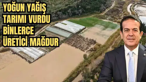 Antalya’da 14 Bin Dekar Tarım Alanı Yağıştan Etkilendi