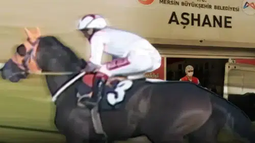 Kavurma Yapılan Şampiyon Atın Sahibi Konuştu... "Hayır Yapalım Derken..."