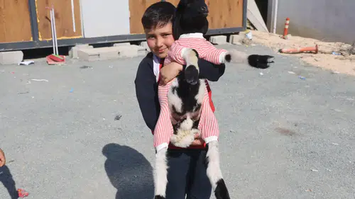 Hatay’ın Maskotu 'Boncuk'