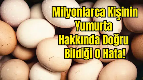 Kabuğu Kirli Yumurta Yıkanmalı mı?