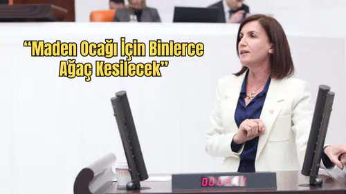 Aliye Coşar’dan Güzelbağ’daki Maden Ocağına İtiraz