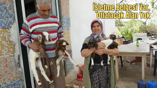 Konyaaltı’nda Bir Şikayet Yarım Asırlık Üretimi Durdurdu