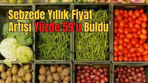 Antalya Halinde Domates Fiyatı Uçtu, Miktar Yerinde Saydı