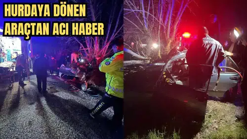 Kontrolden Çıkan Araç Ağaca Çarptı