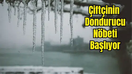 Antalya İl Tarım'dan Üreticiye Zirai Don Uyarısı