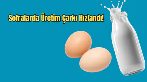 TÜİK Şubat Verilerini Açıkladı: Tavuk Eti ve Süt Üretiminde Son Durum Ne?