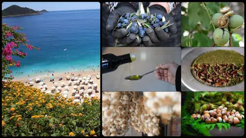 Coğrafi İşaretlerin Kalbi Antalya’da Atacak