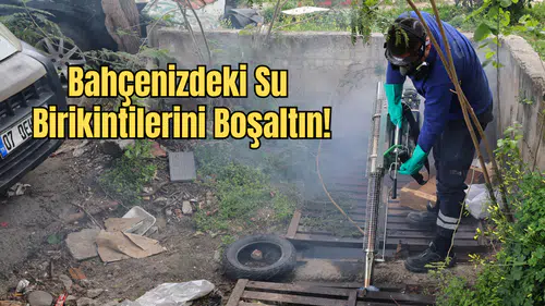 Antalya’da Haşere Nöbeti: Ekipler Aralıksız Sahada