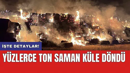 Yüzlerce ton saman küle döndü