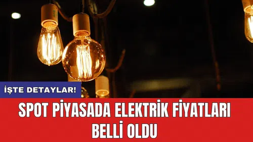 Spot piyasada elektrik fiyatları belli oldu