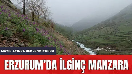 Mayıs'ta İlginç Manzaralar