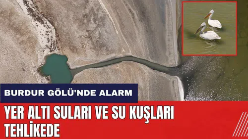 Burdur Gölü'nde alarm! Yer altı suları ve su kuşları tehlikede