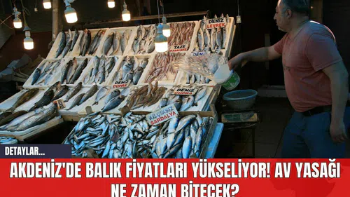 Akdeniz'de Balık Fiyatları Yükseliyor! Av Yasağı Ne Zaman Bitecek?