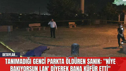 Tanımadığı genci parkta öldüren sanık: "'Niye bakıyorsun lan' diyerek bana küfür etti"
