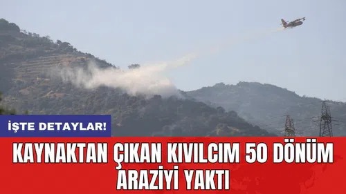 Kaynaktan çıkan kıvılcım 50 dönüm araziyi yaktı