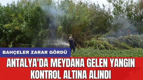 Antalya'da meydana gelen yangın kontrol altına alındı