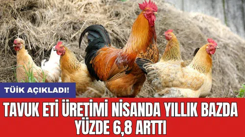 Tavuk eti üretimi nisanda yıllık bazda yüzde 6,8 arttı