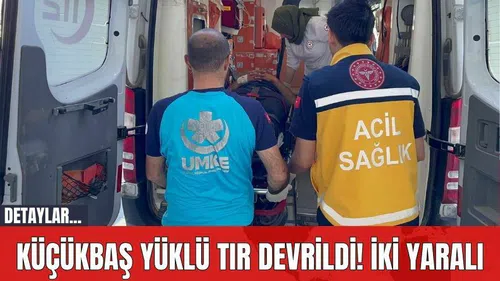 Küçükbaş Yüklü Tır Devrildi! İki Yaralı
