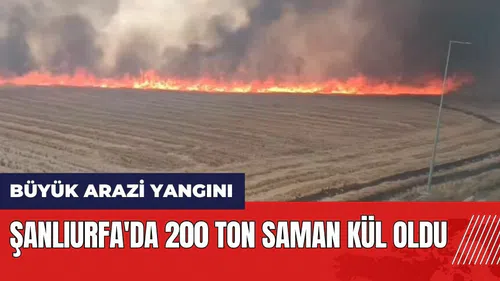 Şanlıurfa'da büyük arazi yangını! 200 ton saman kül oldu