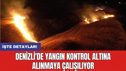 Denizli'de yangın kontrol altına alınmaya çalışılıyor