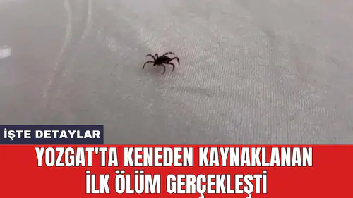 Yozgat'ta keneden kaynaklanan ilk öl*m gerçekleşti