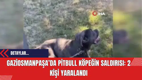 Gaziosmanpaşa’da Pitbull Köpeğin Saldırısı: 2 Kişi Yaralandı