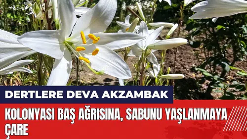 Kolonyası baş ağrısına sabunu yaşlanmaya çare!