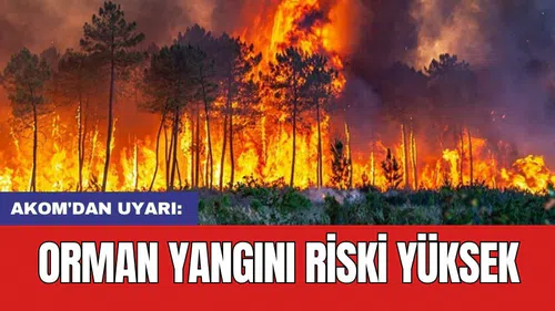 AKOM'dan uyarı: Orman yangını riski yüksek