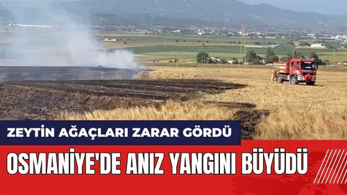 Osmaniye'de anız yangını büyüdü!