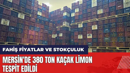 Mersin'de 380 ton kaçak limon tespit edildi