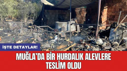 Muğla’da bir hurdalık alevlere teslim oldu