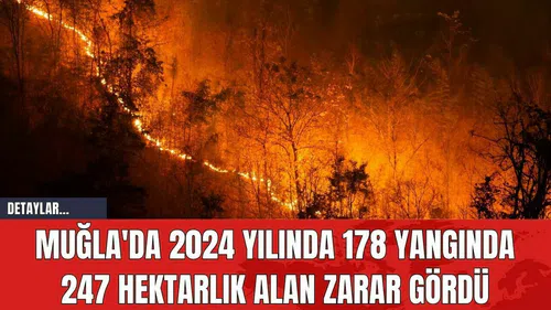 Muğla'da 2024 Yılında 178 Yangında 247 Hektarlık Alan Zarar Gördü