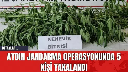 Aydın Jandarma Operasyonunda 5 Kişi Yakalandı