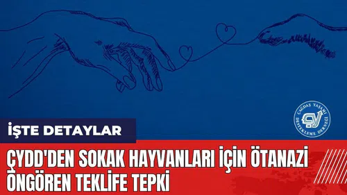 ÇYDD'den sokak hayvanları için ötanazi öngören teklife tepki