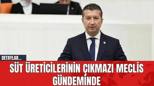 Süt Üreticilerinin Çıkmazı Meclis Gündeminde