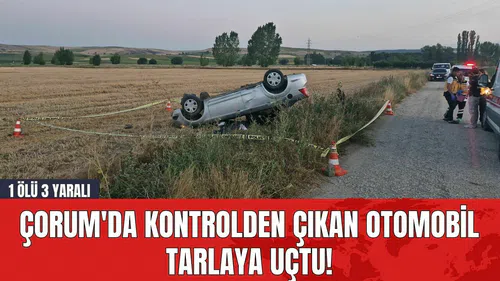 Çorum'da Kontrolden Çıkan Otomobil Tarlaya Uçtu! 1 Öl* 3 Yaralı