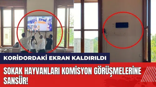 Sokak hayvanları komisyon görüşmelerine sansür! Koridordaki ekran kaldırıldı