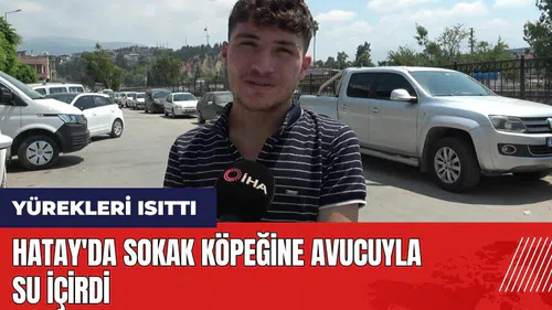 Hatay'da sokak köpeğine avucuyla su içirdi