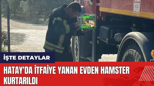 Hatay'da itfaiye yanan evden hamster kurtarıldı