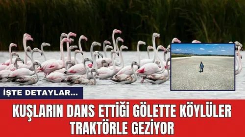 Kuşların  Dans Ettiği Gölette Köylüler Traktörle Geziyor